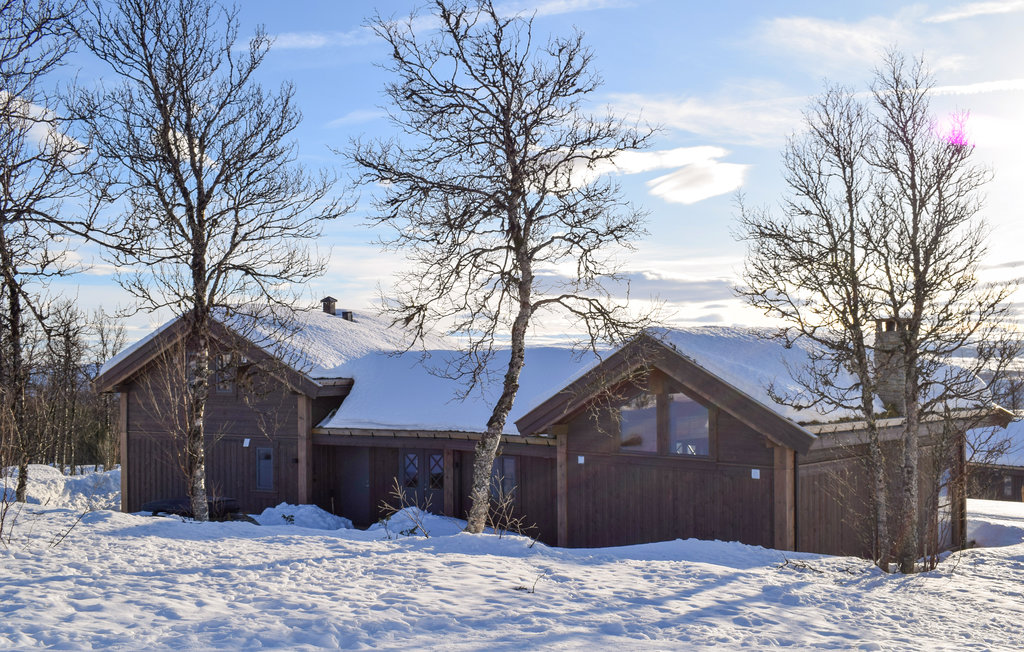 Feriehuse - Geilo/Skurdalen , Norge - N33257 1