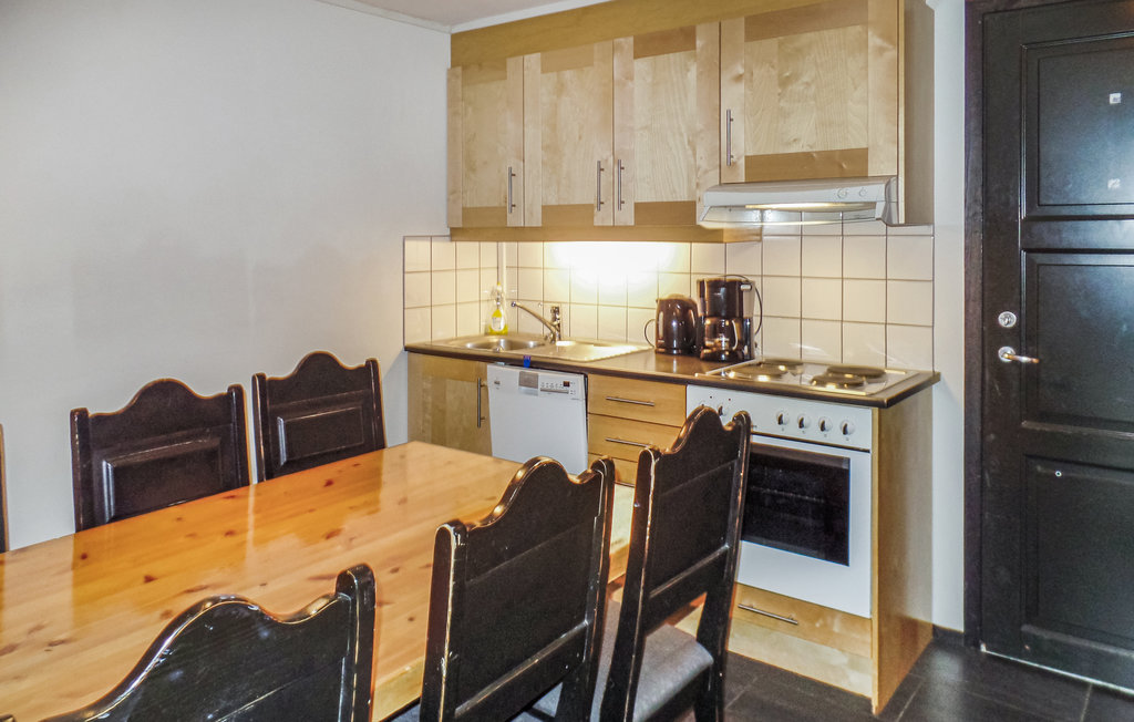 Ferienwohnung - Buskerud , Norwegen - N33339 3