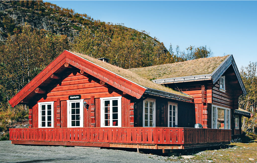 Ferienhaus - Hemsedal , Norwegen - N33900 8