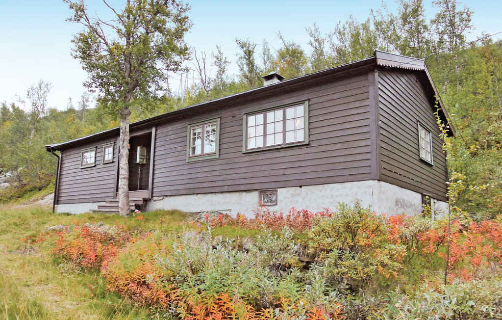 Feriehuse - Haugastøl/Hallingskarvet , Norge - N33124 1