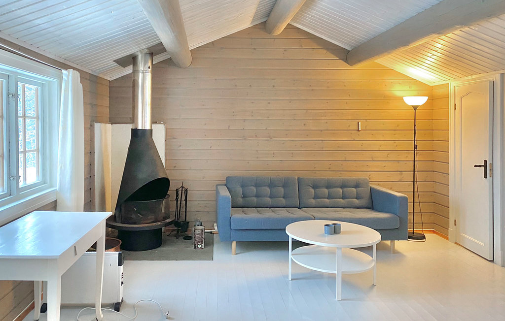 Feriehuse - Ål , Norge - N33432 5