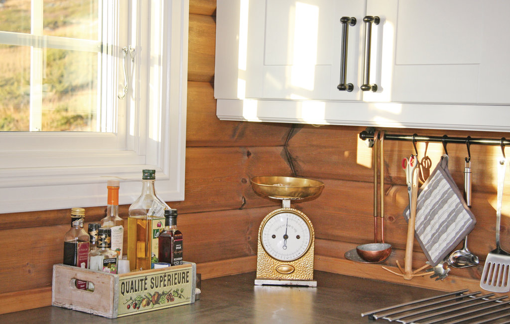 Feriehuse - Hallingskarvet , Norge - N33165 13