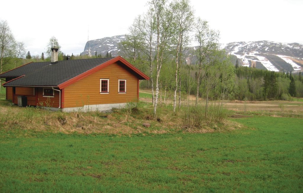 Feriehuse - Hemsedal , Norge - N33202 4