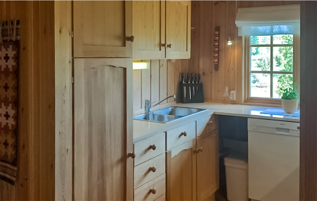 Ferienhaus - Sangefjell Ål / Geilo , Norwegen - N33440 13