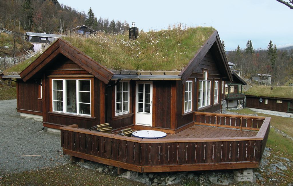 Feriehus - Hemsedal , Norge - N33911 4