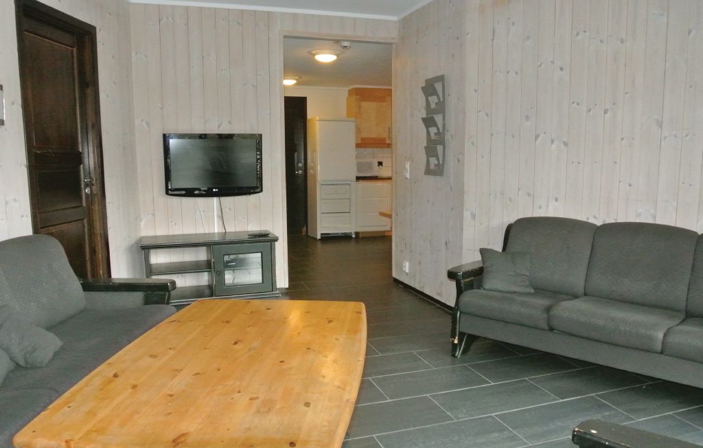 Ferienwohnung - Hemsedal , Norwegen - N33950 4