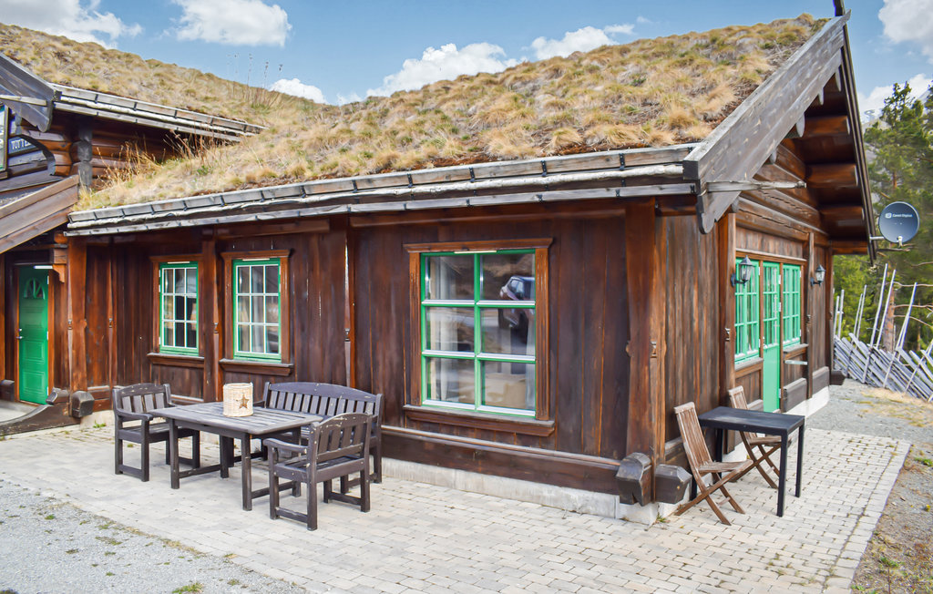 Ferienhaus - Hemsedal , Norwegen - N33261 1
