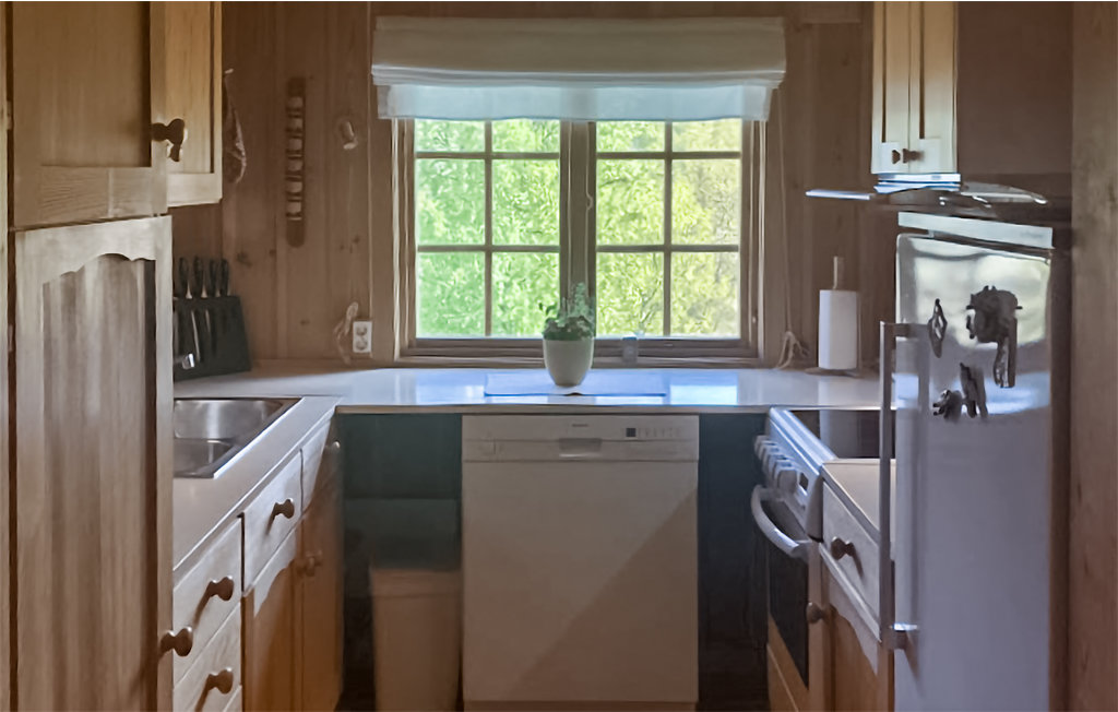 Ferienhaus - Sangefjell Ål / Geilo , Norwegen - N33440 6