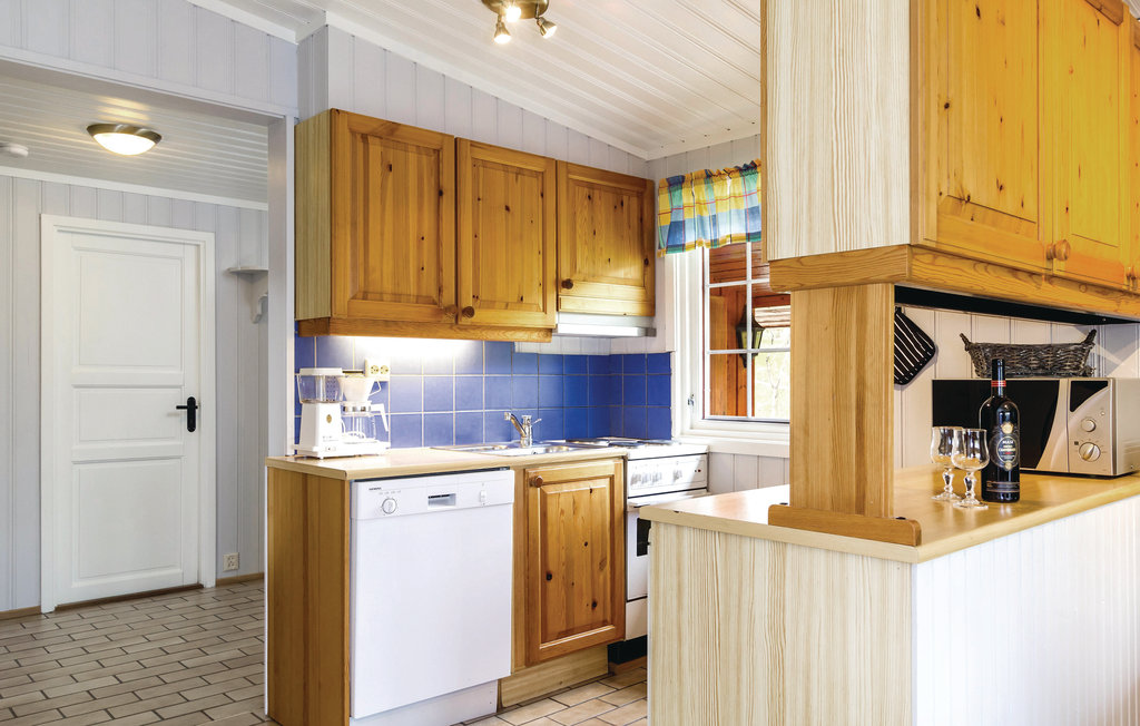 Semesterhus - Hemsedal , Norge - N33655 12