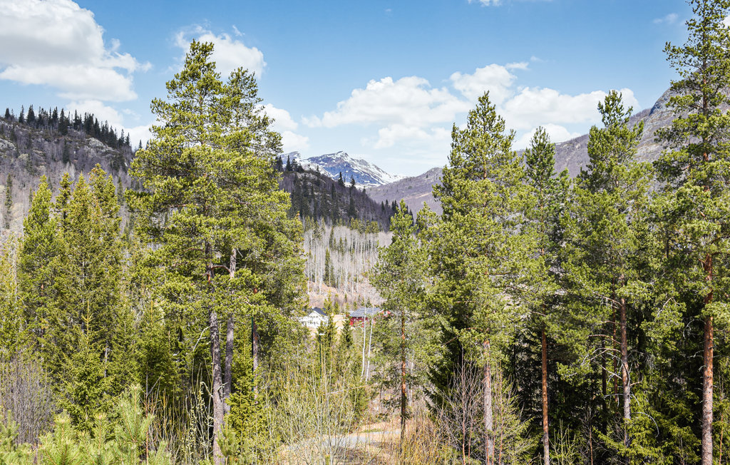 Ferienhaus - Hemsedal , Norwegen - N33261 9