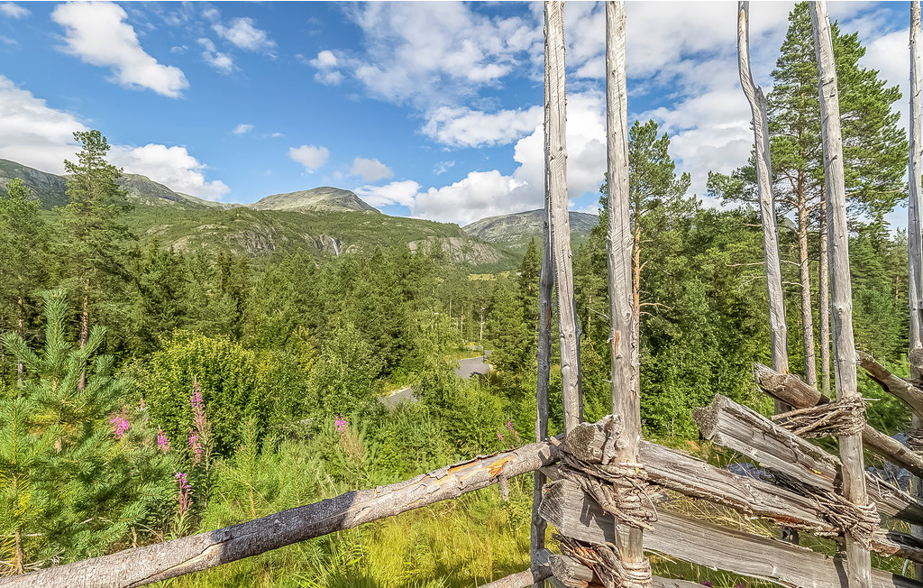 Feriehuse - Hemsedal , Norge - N33260 18