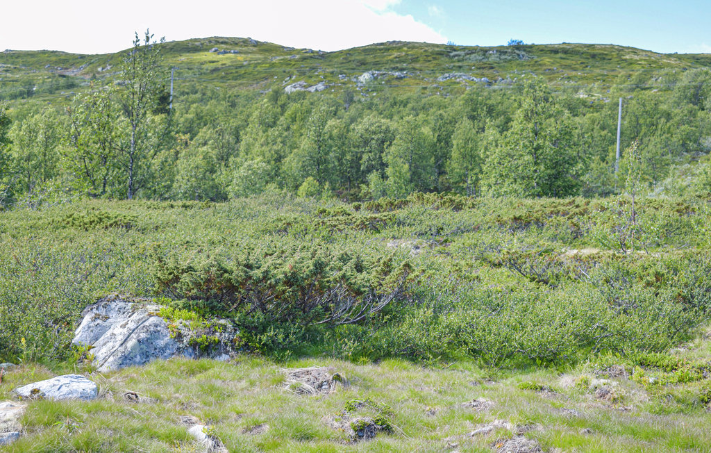 Feriehuse - Uvdal , Norge - N33285 15