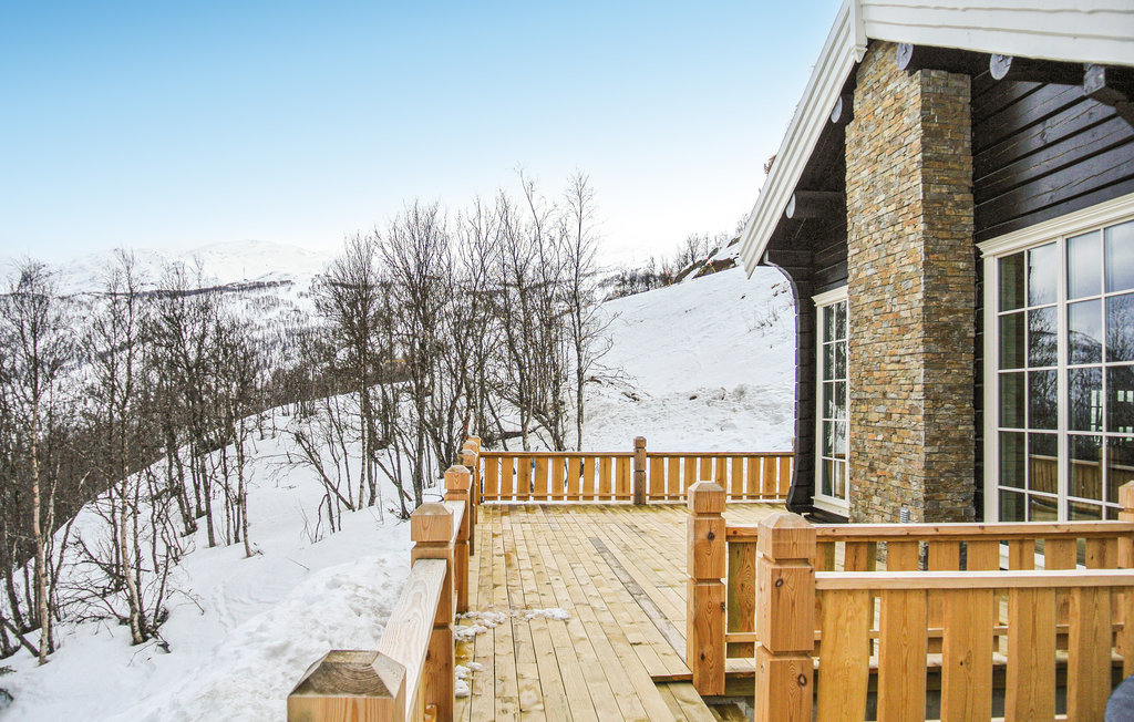 Feriehuse - Hemsedal , Norge - N33500 10