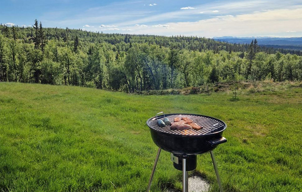 Feriehuse - Golsfjellet/Nystølfjellet , Norge - N33435 16