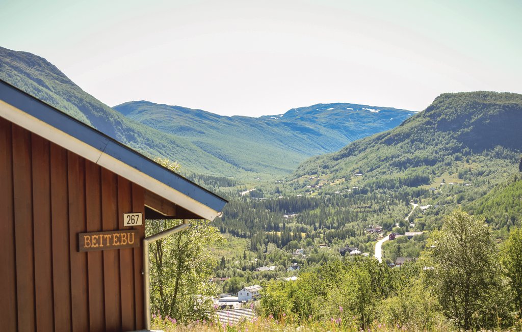 Feriehuse - Hemsedal , Norge - N33645 9