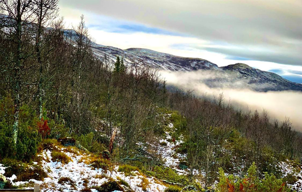 Feriehuse - Uvdal , Norge - N33235 16