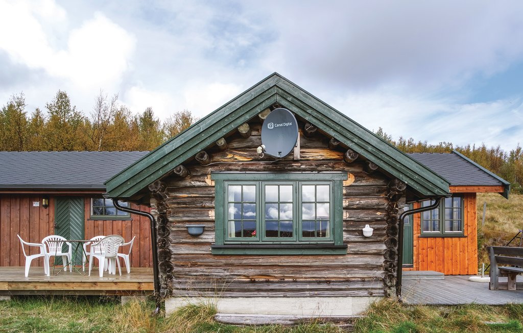 Semesterhus - Dagalifjellet/Uvdal , Norge - N33168 3