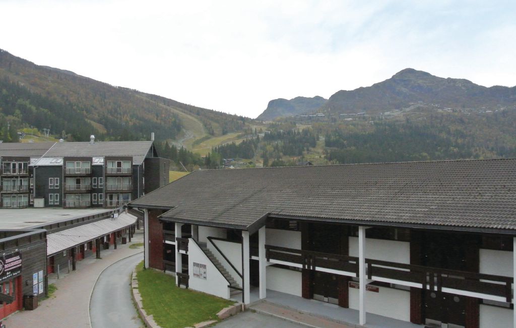 Ferienwohnung - Hemsedal , Norwegen - N33951 6
