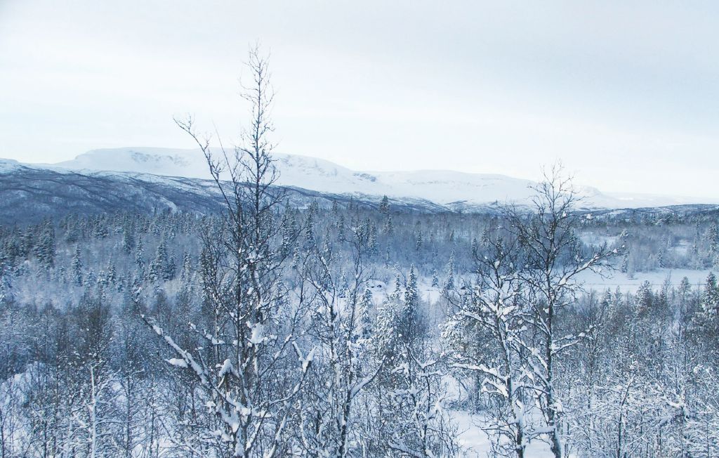 Feriehuse - Mauredokk/Hallingskarvet , Norge - N33008 18