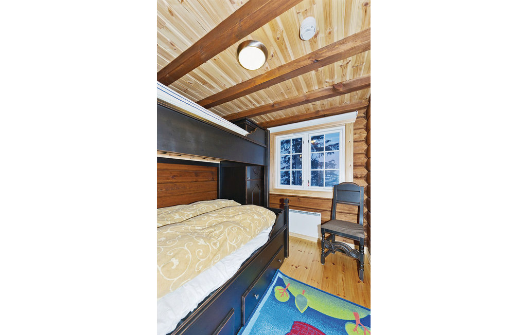 Feriehuse - Reinsjøfjell/Haglebu/Flå , Norge - N33185 19