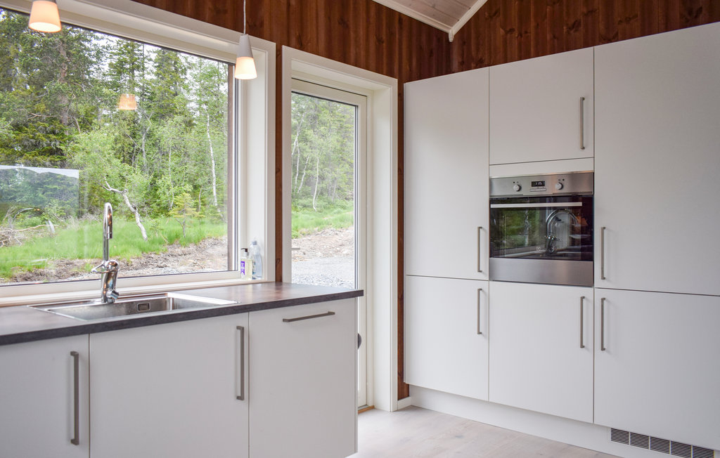 Ferienhaus - Rajekollen/Kongsberg , Norwegen - N33244 8