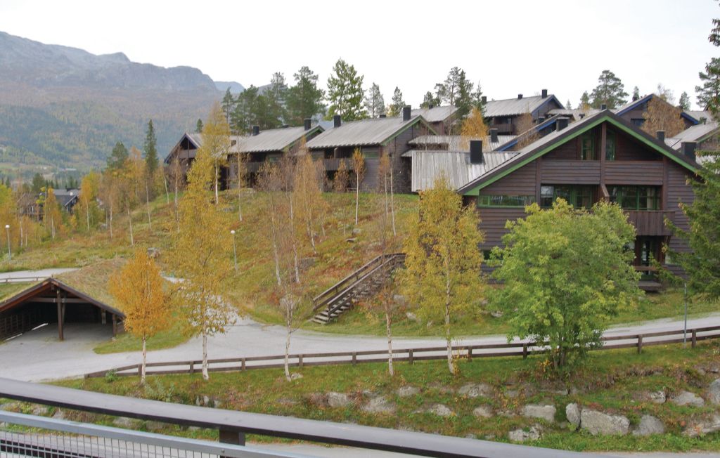 Ferieleilighet - Hemsedal , Norge - N33952 5