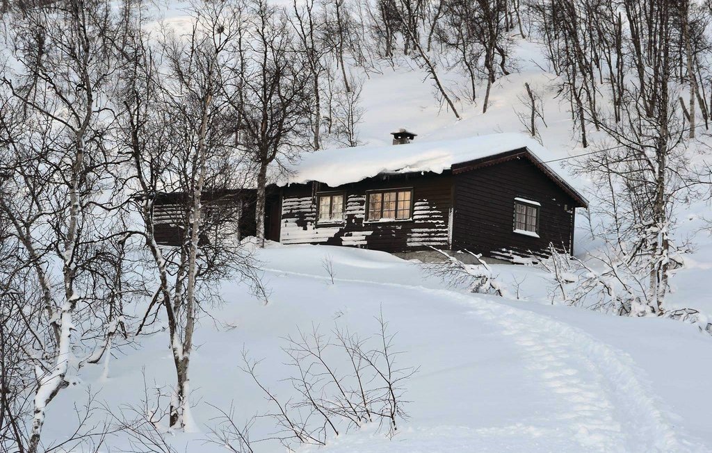 Feriehuse - Haugastøl/Hallingskarvet , Norge - N33124 4