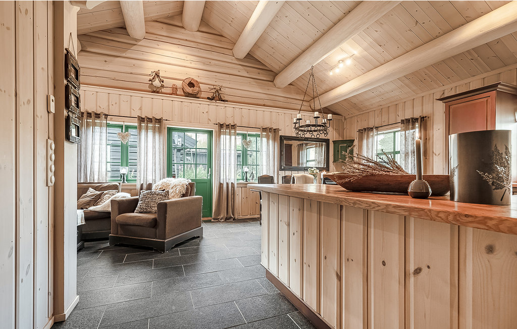 Feriehuse - Hemsedal , Norge - N33260 4