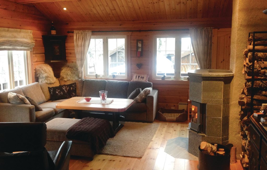 Feriehuse - Reinsjøfjell/Haglebu/Flå , Norge - N33185 3