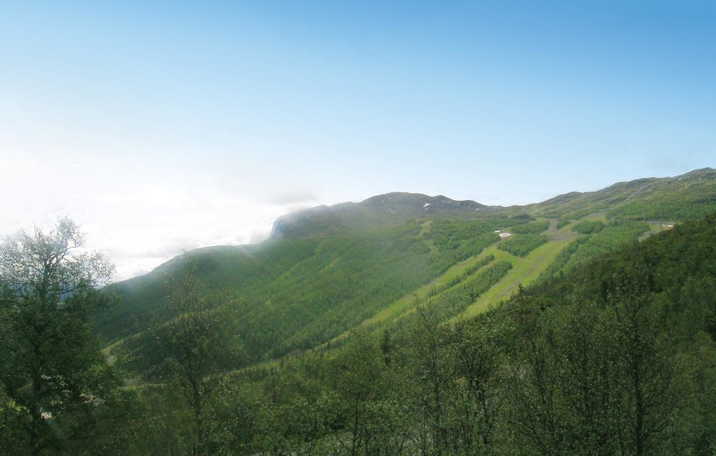 Feriehus - Hemsedal , Norge - N33010 2