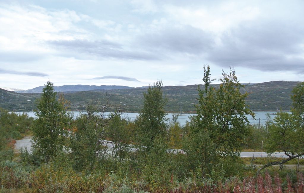 Feriehuse - Haugastøl/Hallingskarvet , Norge - N33124 5