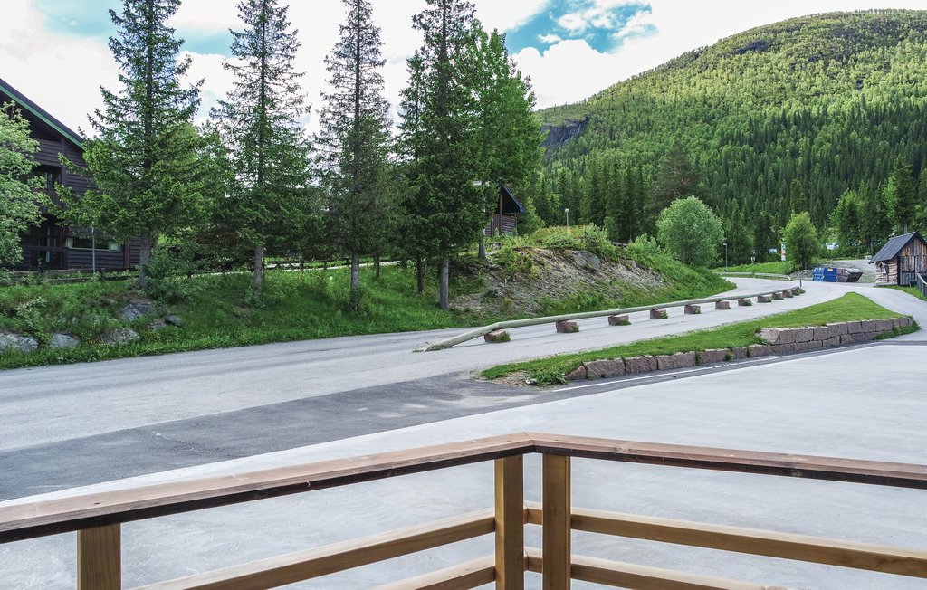 Ferienwohnung - Hemsedal , Norwegen - N33279 4