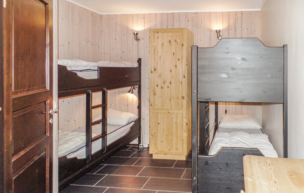 Ferienwohnung - Buskerud , Norwegen - N33339 5