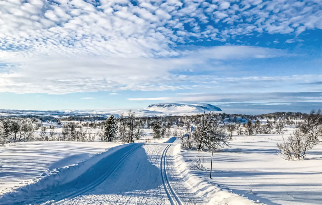 Lejlighed - Geilo , Norge - N33134 34
