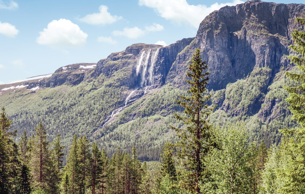 Ferienwohnung - Buskerud , Norwegen - N33339 10