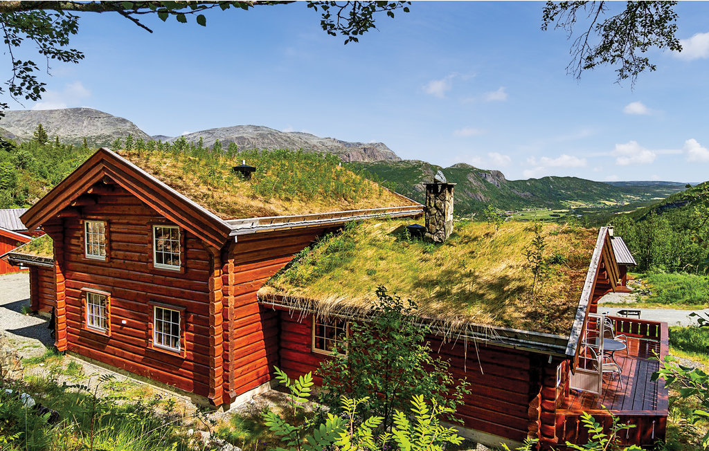 Feriehuse - Hemsedal , Norge - N33091 2