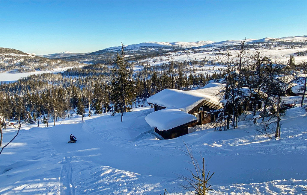 Feriehuse - Reinsjøfjell/Haglebu/Flå , Norge - N33185 9