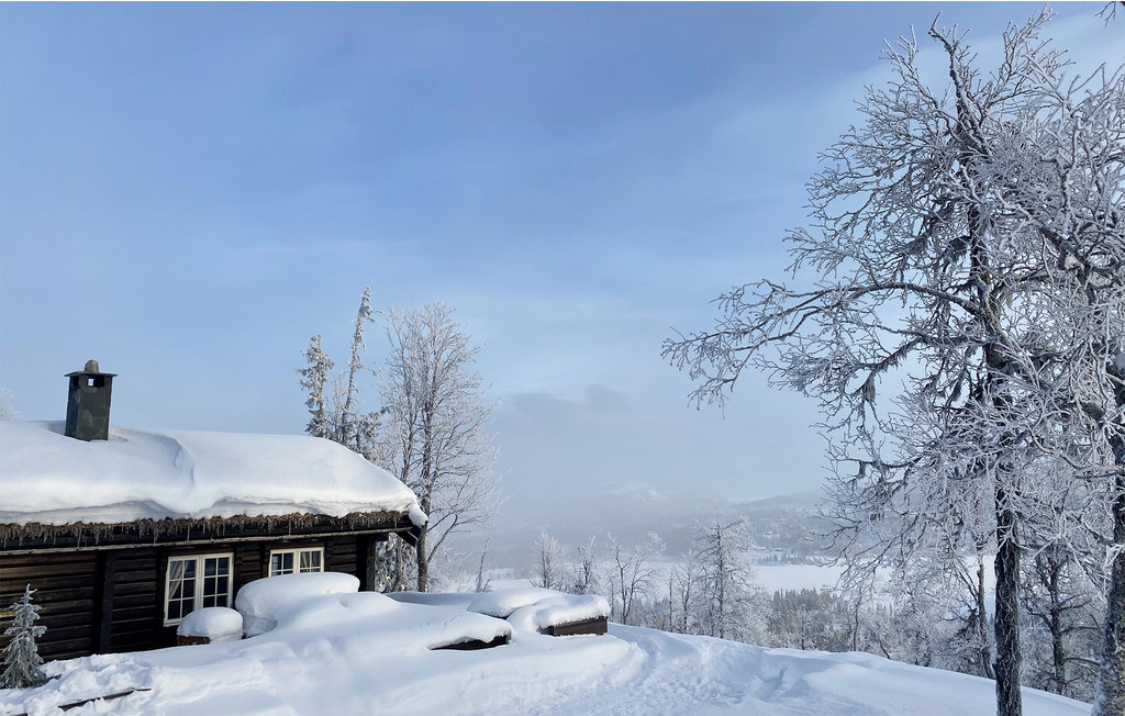 Feriehuse - Reinsjøfjell/Haglebu/Flå , Norge - N33185 11