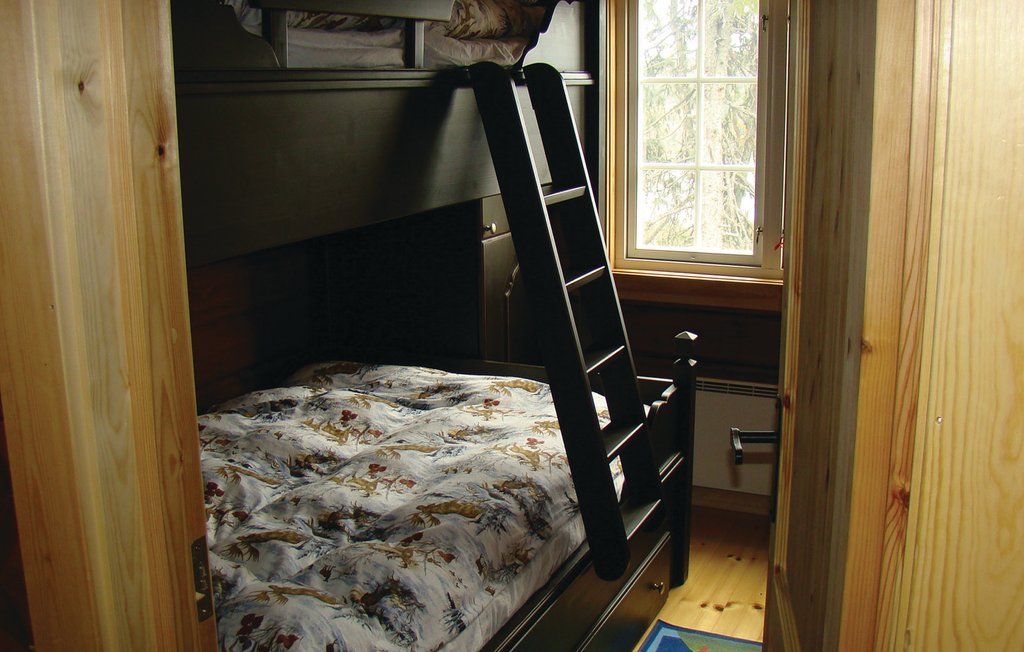 Feriehuse - Reinsjøfjell/Haglebu/Flå , Norge - N33185 18