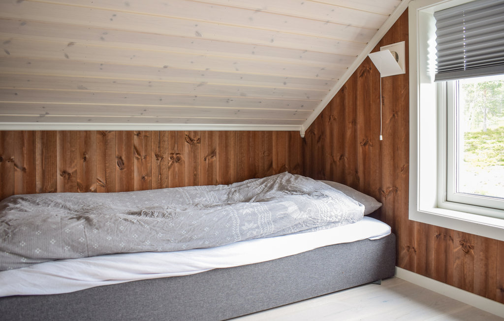 Ferienhaus - Rajekollen/Kongsberg , Norwegen - N33244 11
