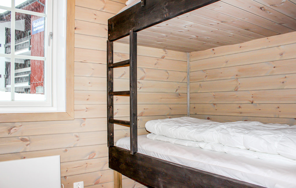 Feriehuse - Hemsedal , Norge - N33310 19