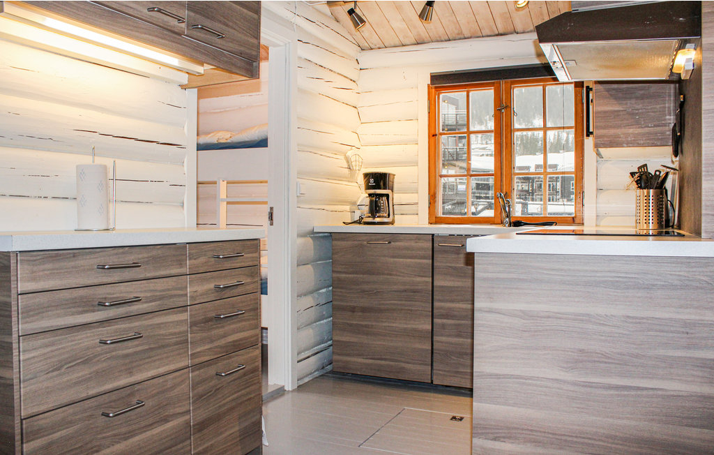 Feriehuse - Hemsedal , Norge - N33311 4