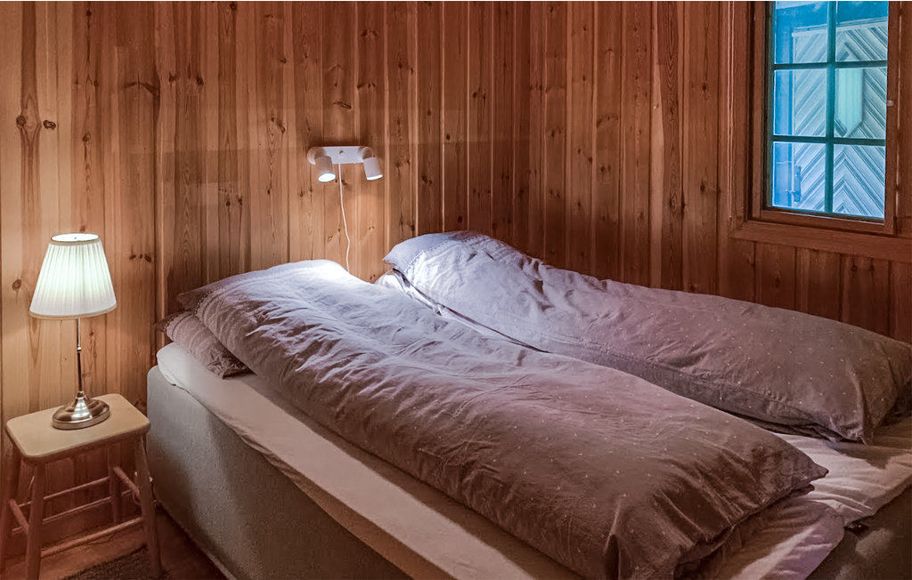 Ferienhaus - Sangefjell Ål / Geilo , Norwegen - N33440 7