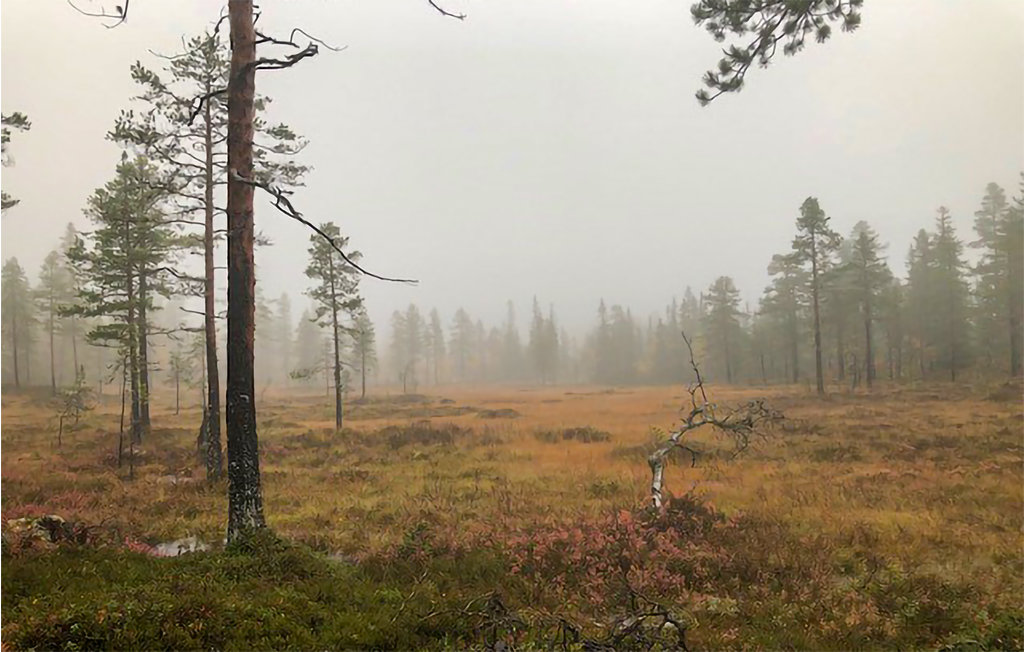 Feriehuse - Sørbølfjell , Norge - N33426 8