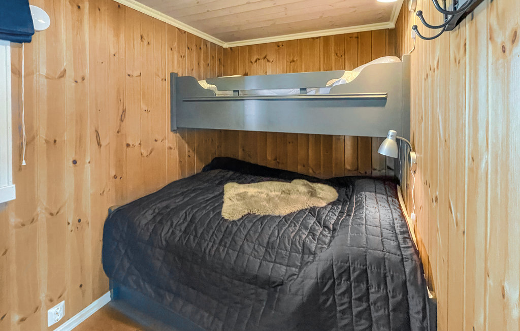 Ferienhaus - Høgevarde/Vardefjellet , Norwegen - N33474 14