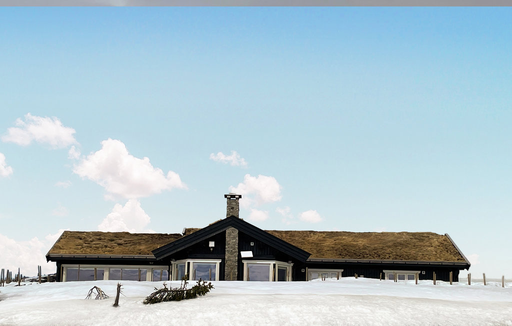Ferienhaus - Høgevarde/Vardefjellet , Norwegen - N33474 10