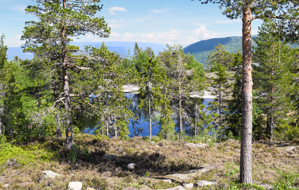 Feriehuse - Omholtfjell , Norge - N33286 13