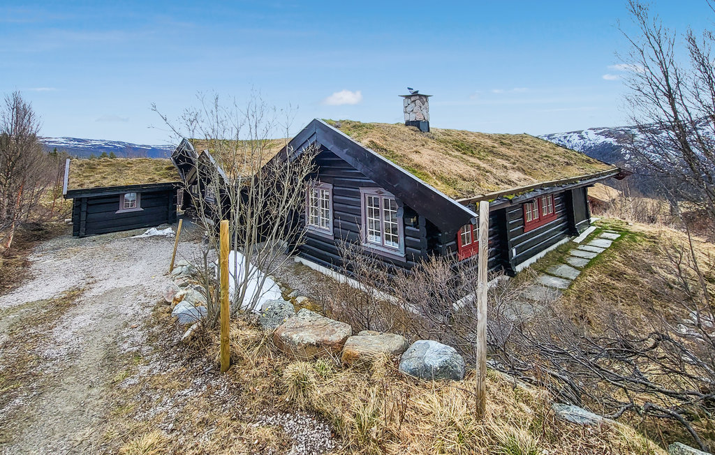 Feriehus - Uvdal , Norge - N33282 2