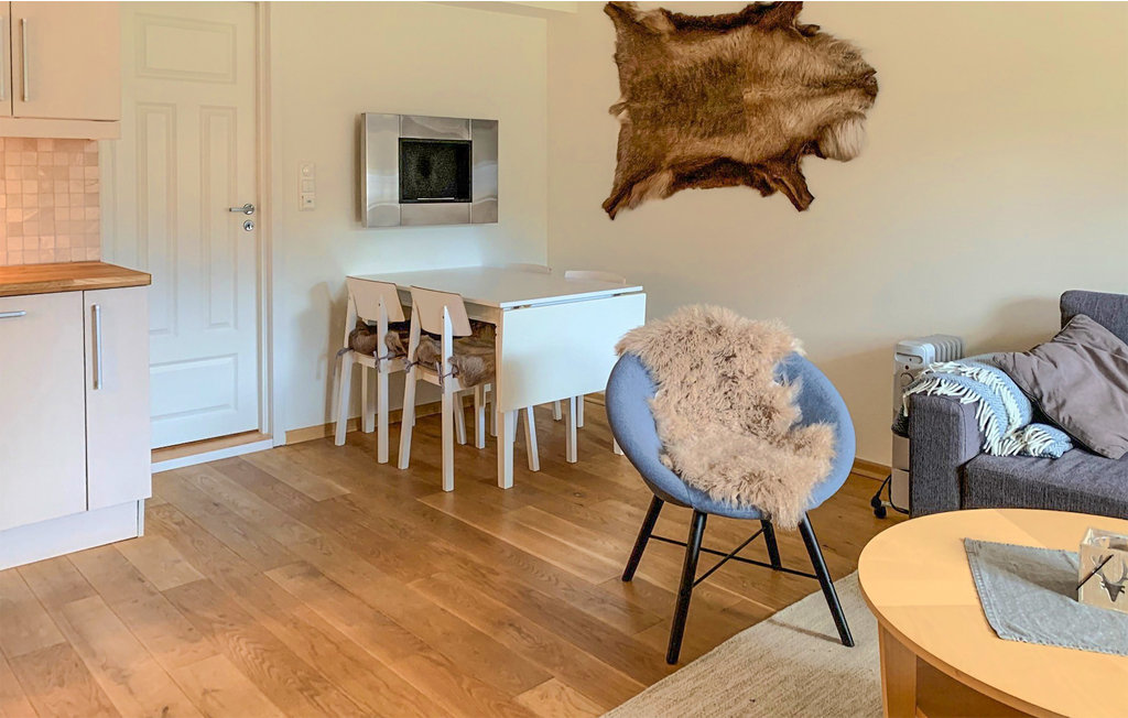 Ferienwohnung - Geilo , Norwegen - N33289 2