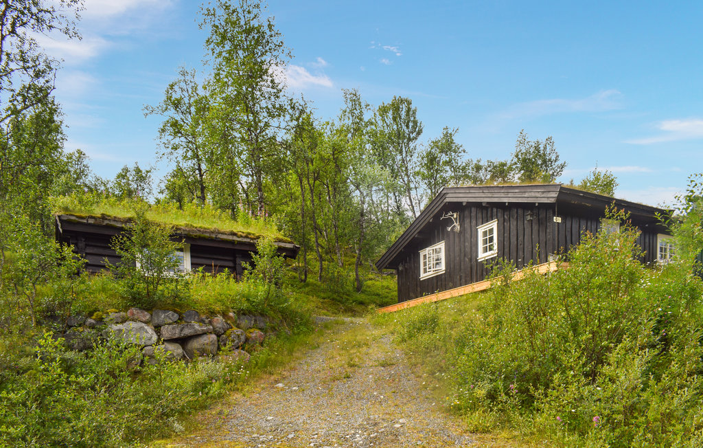 Feriehuse - Hemsedal , Norge - N33455 9